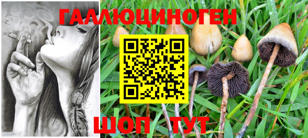 Псилоцибиновые грибы Psilocybe  Вход с VPN  Галлюциногенные грибы мухоморы  Бутурлиновка 