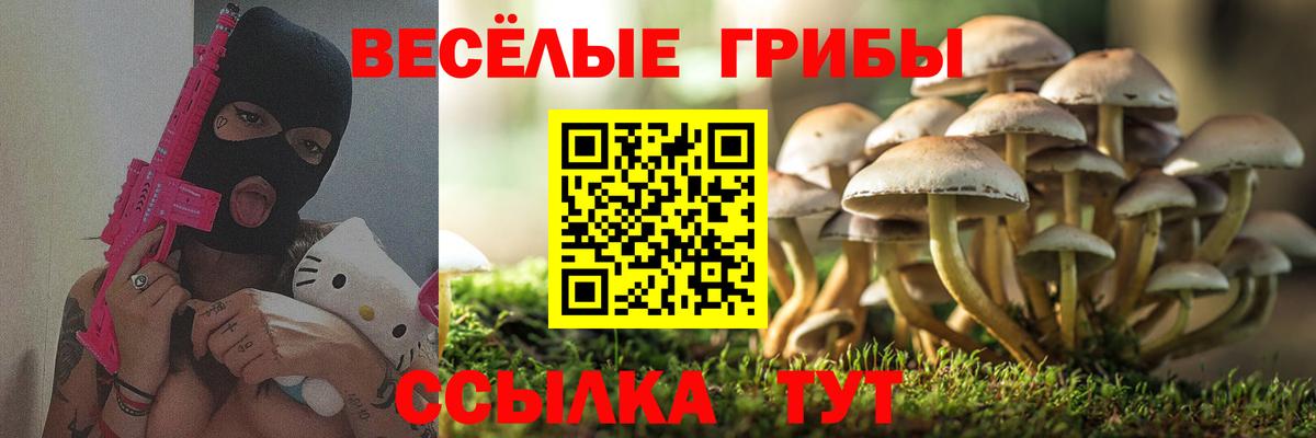 Галлюциногенные грибы MAGIC MUSHROOMS Бутурлиновка
